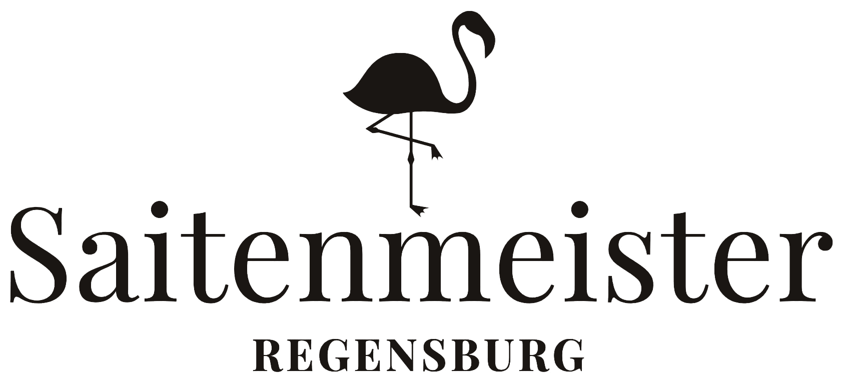 Saitenmeister Regensburg